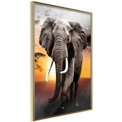 Arkiio Affisch Warm Savanna [Poster] 40x60 Poster